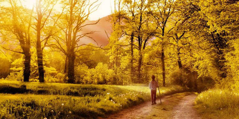 Pranayama While Walking