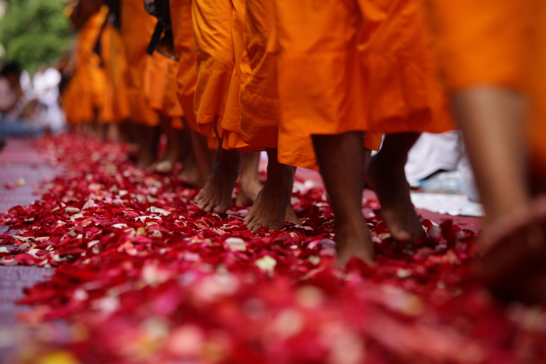 Yoga-Sandesha- Yoga-Feb-2026