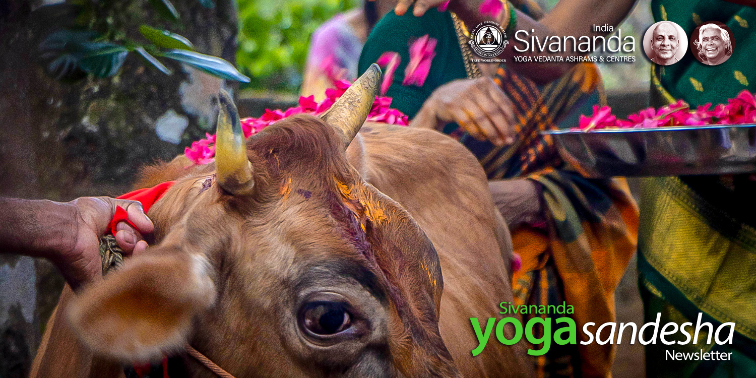 Untitled design – 1